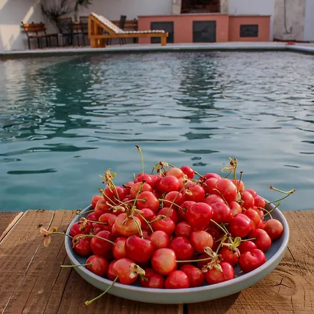 Bali Serenity Holiday home